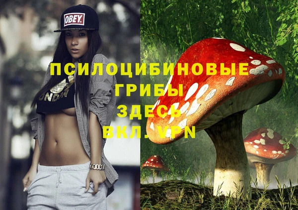 PSILOCYBIN Карпинск