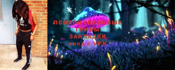 PSILOCYBIN Карпинск