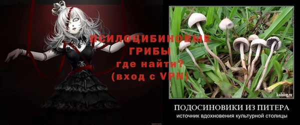 PSILOCYBIN Карпинск