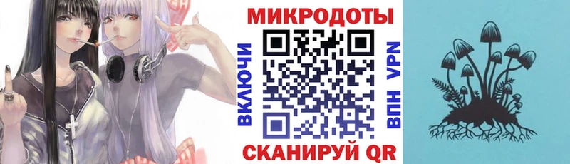 Купить  Куровское  Псилоцибиновые грибы GOLDEN TEACHER 